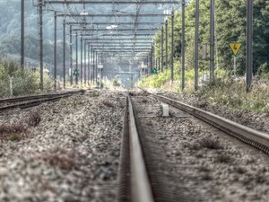 Tragedia sulla linea Torino-Bardonecchia, treno investe e uccide un pastore e le sue pecore