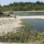 Un'altra tragedia nelle acque del fiume Ticino: a Somma muore un 24enne