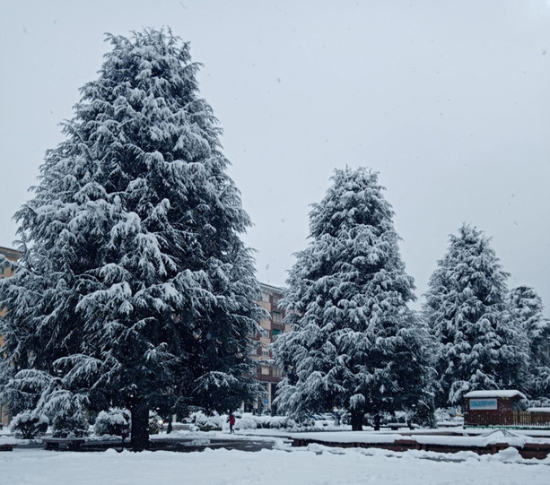 Piazza Europa, sbloccato l’iter dal Tar ora il Comune valuta la ripartenza dei lavori
