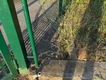 Nuovo furto alla Cittadella Nida di Falchera: "Di giorno costruiamo, di notte ci rubano tutto"