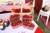 Dal Palio dei Borghi di Fossano alla Fiera della Ciliegia di Dogliani: ecco tutti gli eventi del week end 14-15 giugno in provincia di Cuneo