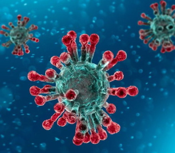 Coronavirus: 425 nuovi positivi in Liguria, 159 i nuovi casi nel genovese Coronavirus: 425 nuovi positivi in Liguria, 159 i nuovi casi nel genovese