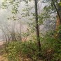Vento e incendi nel Varesotto, in fiamme i boschi di Vergiate