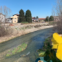 Bambino cade nel Maira a Savigliano: era un falso allarme