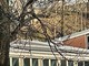 Perosa Argentina: camminano sul tetto delle scuole medie Perosa Argentina: camminano sul tetto delle scuole medie