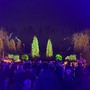 VIDEO e FOTO. Quella meraviglia degli elfi nel bosco: in seimila applaudono lo spettacolo di Natale ai Giardini Estensi