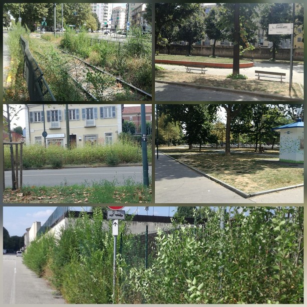 Aree verdi: borgo Filadelfia e dintorni promossi, ma con qualche riserva [FOTO]