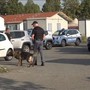 Blitz al campo nomadi di Mirafiori: sequestrati armi, jammer e auto per le truffe agli anziani [VIDEO]