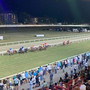 Luci all'ippodromo delle Bettole: stasera a Varese la voglia di correre batte il De Profundis Luci all'ippodromo delle Bettole: stasera a Varese la voglia di correre batte il De Profundis