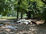 Discariche abusive e fumi tossici, allarme al Parco della Confluenza: "Situazione gravissima"