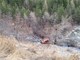Macchina vola giù per 30 metri alle Barricate in valle Stura: incredibilmente illeso l'uomo alla guida