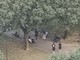 Droga e degrado, un'altra voce da Torino Sud: "I giardini di corso Caio Plinio ormai sono terra di spacciatori" Droga e degrado, un'altra voce da Torino Sud: "I giardini di corso Caio Plinio ormai sono terra di spacciatori"
