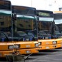 Sollievo per il trasporto pubblico del Piemonte, Roma sblocca i fondi: "A giorni soldi per bus e tram" Sollievo per il trasporto pubblico del Piemonte, Roma sblocca i fondi: "A giorni soldi per bus e tram"