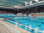 Piscina Zanelli, la Rari guarda oltre Savona: "Pronti al trasferimento a Luceto"