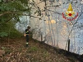 VIDEO. Incendio nei boschi sopra Arolo di Leggiuno forse causato da un fulmine VIDEO. Incendio nei boschi sopra Arolo di Leggiuno forse causato da un fulmine