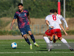 Calciomercato | Vado, fumata rossoblu per il rinnovo di Saltarelli Calciomercato | Vado, fumata rossoblu per il rinnovo di Saltarelli