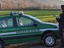 Cavallo denutrito, con gravi ferite non curate e poi deceduto: denunciata la proprietaria di un'area agricola a Castelveccana