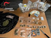Trasforma la cucina in una serra per ganja e funghetti: arrestato 22enne a Fiano Torinese Trasforma la cucina in una serra per ganja e funghetti: arrestato 22enne a Fiano Torinese