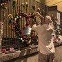 180 fiori per i 18 anni di Zoe Trinchero: il dolore e l'amore di una comunità 180 fiori per i 18 anni di Zoe Trinchero: il dolore e l'amore di una comunità