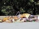 Pegli, rimossa una discarica abusiva lungo il torrente Varenna Pegli, rimossa una discarica abusiva lungo il torrente Varenna