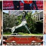 Festival di Sanremo 2026: la Rai minaccia di andare a Sorrento o Rimini? Dal Comune si attende la decisione della Commissione