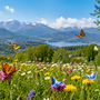 A SPASSO NEL WEEKEND. Natura, musica e sapori all’insegna del divertimento: ecco gli eventi del fine settimana in provincia di Varese A SPASSO NEL WEEKEND. Natura, musica e sapori all’insegna del divertimento: ecco gli eventi del fine settimana in provincia di Varese