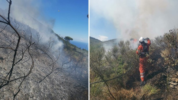Incendio boschivo sulle alture di Alassio: iniziata la fase di bonifica (FOTO e VIDEO) Incendio boschivo sulle alture di Alassio: iniziata la fase di bonifica (FOTO e VIDEO)