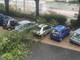 Tombini otturati e alberi abbattuti: Torino un'altra volta in balia del maltempo [VIDEO]