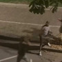 Dopo le notti di violenza, la Granda si interroga: più regole o più analisi sociale? Dopo le notti di violenza, la Granda si interroga: più regole o più analisi sociale?